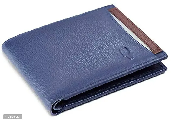 WILDHORN  RFID Protected Genuine New Leather Men's Wallet (Crunch Blue)