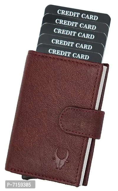 WILDHORN Wildhorn India Bombay Brown Leather Unisex RFID Card Holder (WHCRD001)