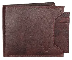 WILDHORN Leather Wallet for Men-thumb1