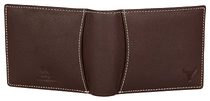 NAPA HIDE Brown Leather Mens Wallet (NPH)-thumb4