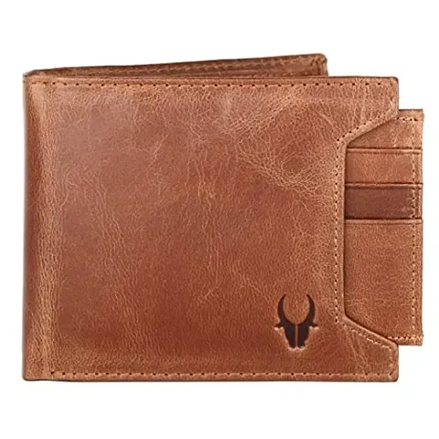 WILDHORN Leather Men's Wallet (699705)