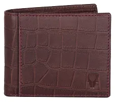 WILDHORN Wildhorn India Brown Leather Men's Wallet (WH1173)-thumb2