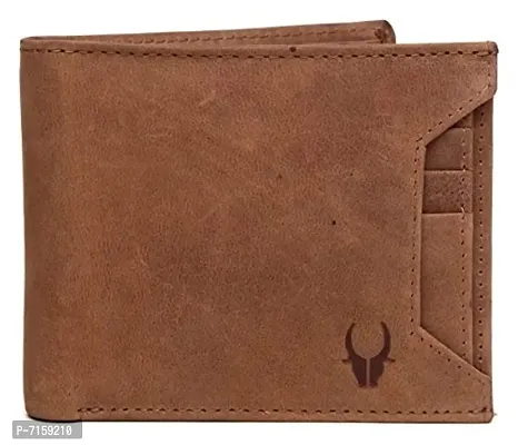 Casual Wallet for Men