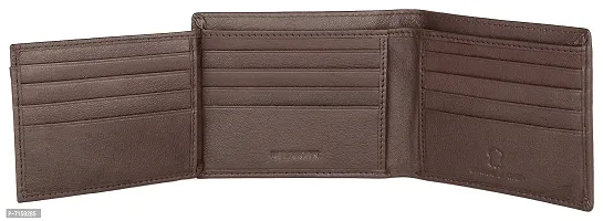 WildHorn RFID Protected Leather Men's Wallet (Brown)-thumb4