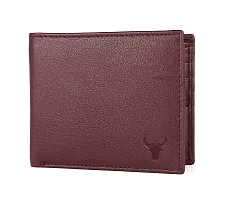 NAPA HIDE Leather Wallet for Men (Maroon)-thumb2