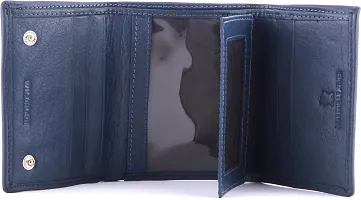 WildHorn WH261GW Blue Mens Wallet-thumb1