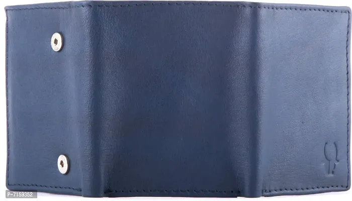 WildHorn WH261GW Blue Mens Wallet-thumb3