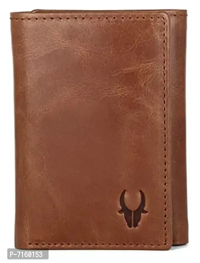 WILDHORN Tan Leather Men's Wallet (2009)