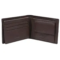 WildHorn Brown Wallet  Belt Combo for Men-thumb2