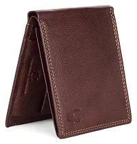 WILDHORN Classic Black Leather Wallet for Men (Maroon)-thumb4