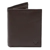 WildHorn Men s Brown Wallet Combo-thumb1