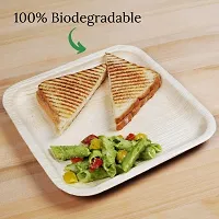 Leaf Tree Square Disposable Plate, Palm Leaf Plates, Eco Friendly,10 inch Leaf Biodegradable Plates for Birthday,Dinner,Compostable, Light Weight,Wedding,Ceremony,Party Plates Set,Reception,Lunch-thumb3