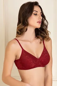 Lace Maroon Lace Padded Non-Wired Bra In Red-thumb2
