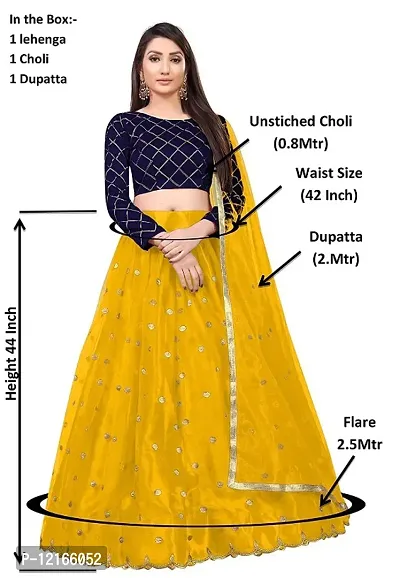 Women Embroidered Net Lehenga Choli with Dupatta set