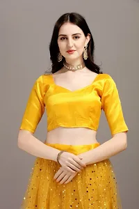 Tapi Maiya Tilki Work Net Lehenga skirt-thumb1