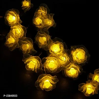 Suitable for Wall Hanging, Diwali Lights, Christmas Tree, New Year, Bedroom Decoration ndash; Led Colour Warm White