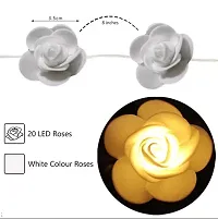 LEDs Rose Flower Fairy String Lights for Indoor Festival, Valentine, Holiday, Decoration , Standard, Warm White-thumb1