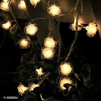 14 LEDs Rose Flower Fairy String Lights for Indoor Festival, Valentine, Holiday, Decoration , Standard, Warm White (Pack One).