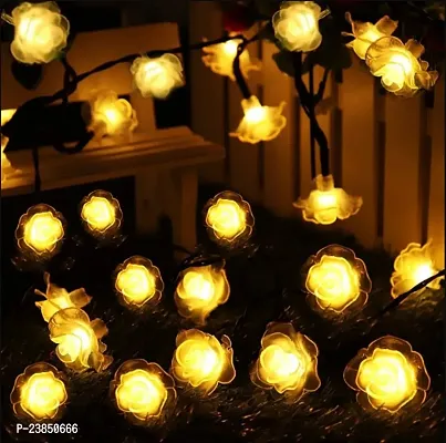 Any Occasion Transform Your Space into a Fairyland Perfect for Indoor and Outdoor Lighting (Warm White Pack Of 1)