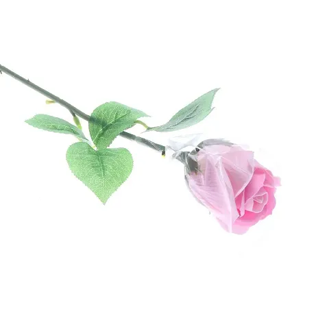KLIP 2 Deal Valentine Rose Gift for Girlfriend, Boyfriend, Wife, Husband