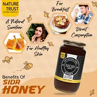 Nature Trust SIDR Honey Raw Honey- Unprocessed, Unfiltered, Unpasteurized raw honey Pure  Premium Himalayan  100% Pure  Natural(1200gm) |Natural Ayurvedic Remedy for Weight Loss Cough and Digestive-thumb1