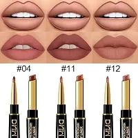 Chestnut Nude Brown Matte Lip Liner and Lipstick Combo Set Of 3-thumb2