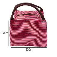 Desi Rang Lunch Box Carry Bag Thermal Insulated Portable for Men Women Kids Office Travel Picnic Food Storage case Tote (Red Stripe)-thumb3