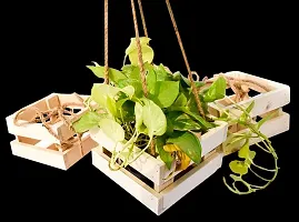 Desi Rang Hanging/Table top Wooden Planter for Balcony Outdoor Indoor, Home Living Room d?cor Flower pots Plants gamla (for Upto 5 inch Dia Pot, Single)-thumb4
