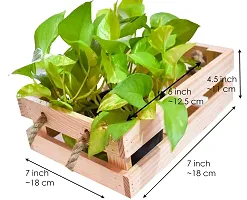 Desi Rang Hanging/Table top Wooden Planter for Balcony Outdoor Indoor, Home Living Room d?cor Flower pots Plants gamla (for Upto 5 inch Dia Pot, Single)-thumb3