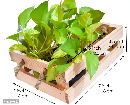 Desi Rang Hanging/Table top Wooden Planter for Balcony Outdoor Indoor, Home Living Room d?cor Flower pots Plants gamla (for Upto 5 inch Dia Pot, Single)-thumb4