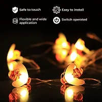 16 LED Warm White Colour Honey Bee Lights-thumb2