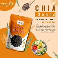 Yizhao - Raw  Unroasted Organic Chia Seeds | Source Of Omega-3| Diet Food | Calcium Rich Chia Seeds 50g ( Pack of 2 ) = 100g-thumb2