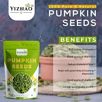 Yizhao- Raw Pumpkin Seeds - High Fibre  Protein, Nutritious Seeds for Weight Loss 50g ( pack of 2 ) =100g-thumb1