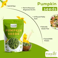 Yizhao- Raw Pumpkin Seeds - High Fibre  Protein, Nutritious Seeds for Weight Loss 50g ( pack of 2 ) =100g-thumb2