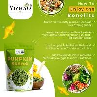 Yizhao- Raw Pumpkin Seeds - High Fibre  Protein, Nutritious Seeds for Weight Loss 50g ( pack of 2 ) =100g-thumb3