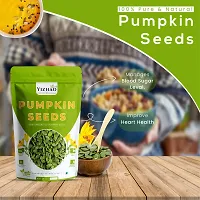 Yizhao- Raw Pumpkin Seeds - High Fibre  Protein, Nutritious Seeds for Weight Loss 50g ( pack of 2 ) =100g-thumb4