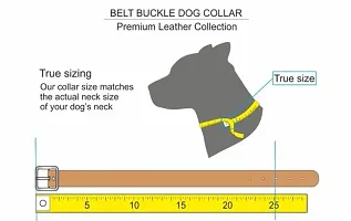 Dog Pure Leather Strong and Durable Dog Padded Collar Dog Belt Leather Handmade Lightweight Dog Collar for All Breeds Medium Neck fit to Size 15 to 18 Inch Combo pack 2-thumb3