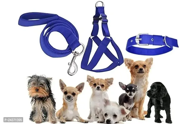 Padded Nylon Dog Body Belt Dog Belt Dog Leash Small (Neck Size - 12-20 inch) (Chest Size - 16-22 inch) Combo Harness Collar Leash pack 3 Blue