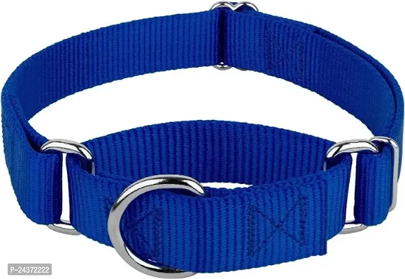 Nylon Dog collar Belt Dog Small Neck fit to Size 12 to 15 Inch adjustable Blue