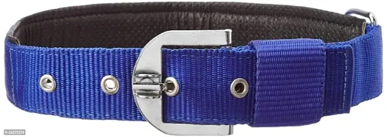 Padded Nylon Dog collar Belt Dog  Neck fit to 15 Size 21 to Medium to large adjustable Blue