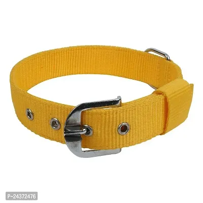 Nylon Dog collar Belt Dog Neck fit to 15 Size 21 to Medium to large adjustable Yellow