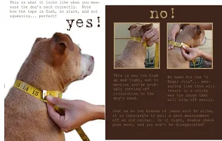 Fur Padded Nylon Dog Body Belt Dog Belt  Dog Leash Medium (Neck Size - 16-25 inch) (Chest Size - 18-28 inch) Combo Harness Collar Leash pack 3 Red-thumb1