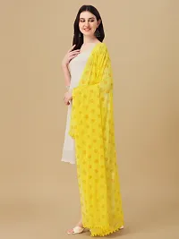 Stylish Fancy Chiffon Dupattas For Women-thumb3