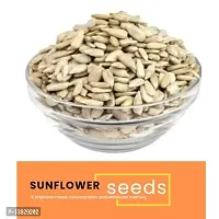 Andramart Raw Sunflower Seeds - Improves Skin Health 250 Gm-thumb1