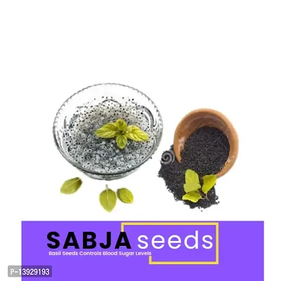 Andramart Raw Basil Seeds - Calcium Rich 1000 Gm-thumb2