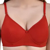 PinkHoney Padded Wirefree Fancy Bra for Girls  Women Red-thumb4