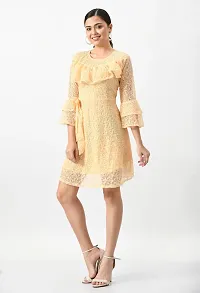 Stylish Women Net Above Knee Length Western Dress-thumb2