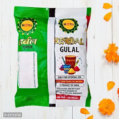 Organic Holi Gulal Colors| Natural and Herbal Gulal Powder |Gulal with Pure Chandan Tika |  Holi Colors| Holi Ke Rang| Holi Gulal Color Powder | Holi Gulal for Friends and Relatives-thumb2