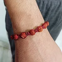 Eshopitude Shiva Blessed Original 5 Mukhi Rudraksha Zodiac Planet Rahu Brown Macrame Thread Good Luck Adjustable Size Healing Bracelet Band Rakhi For Men,Women  Student-thumb1