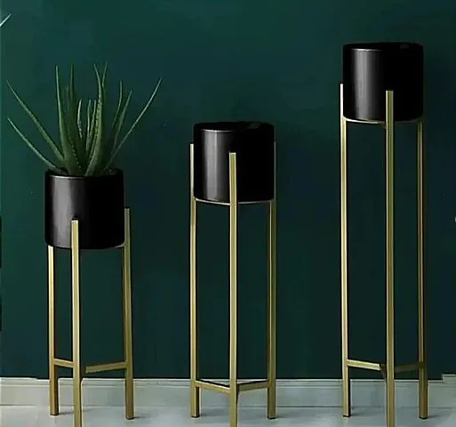 New Arrival Plant & Planters 